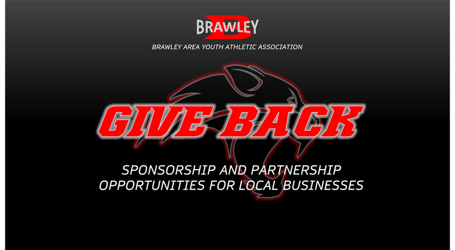 BAYAA Sponsorship Opportunities